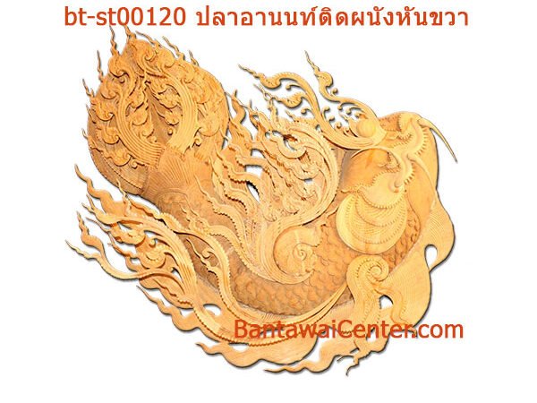 ปลาอานนท์ติดผนังหันขวา